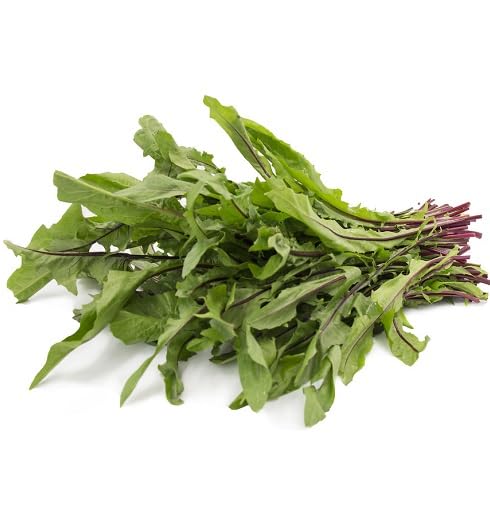 Green Dandelion vegetable seeds - Heirloom, Organic, Non Gmo Garden Seeds for kitchen garden planting