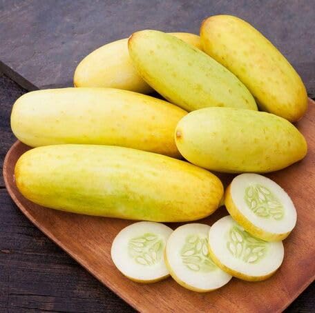 Yellow Cucumber vegetable seeds - Heirloom, Organic, Non Gmo Garden Seeds for kitchen garden planting