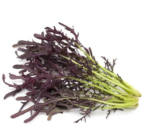 Purple Mizuna vegetable seeds - Heirloom, Organic, Non Gmo Garden Seeds for kitchen garden planting