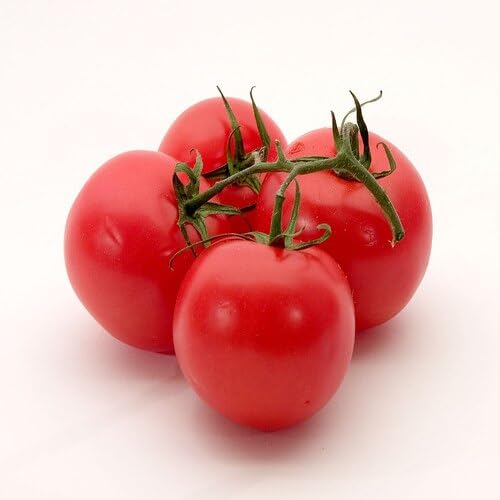 red Tomato vegetable seeds for Home Gardening, Fast Growing Home Garden Variety Premium for kitchen garden planting