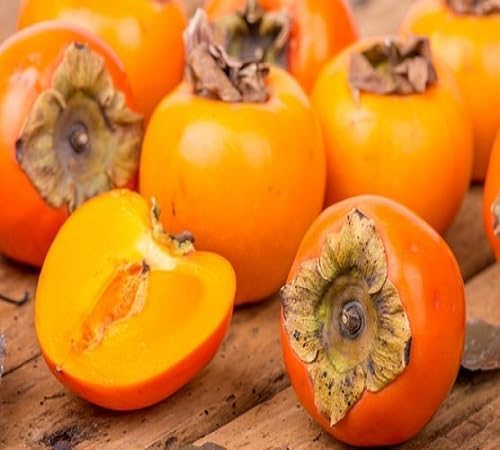 Frseh Persimmon Fruit Seeds Exotic Kitchen Favorite for Orchard Cultivation