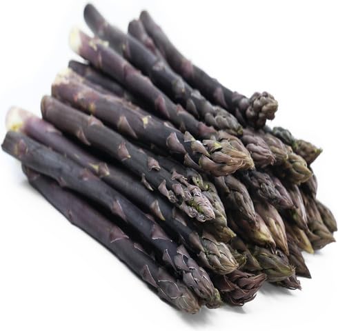 Purple Asparagus vegetable seeds - Heirloom, Organic, Non Gmo Garden Seeds for kitchen garden planting