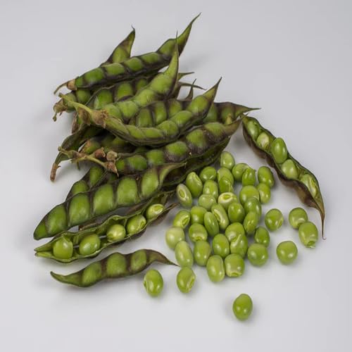 Green Pea vegetable seeds for Home Gardening, Organic Raised Bed Garden Favorite Premium for kitchen garden planting