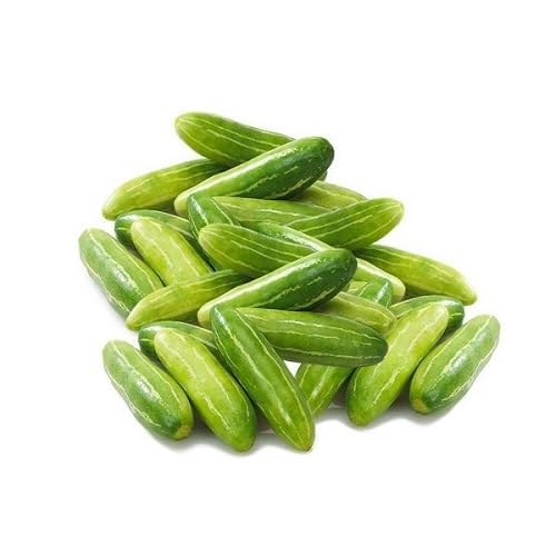 Ivy Gourd vegetable seeds for Home Gardening, Healthy Seasonal Vegetable Planting Premium for kitchen garden planting