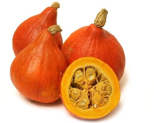 Orange Pumpkin Vegetables Seeds vegetable seeds - Heirloom, Organic, Non Gmo Garden Seeds for kitchen garden planting