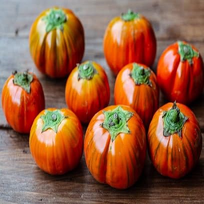 Solanum Aethiopicum vegetable seeds - Heirloom, Organic, Non Gmo Garden Seeds for kitchen garden planting