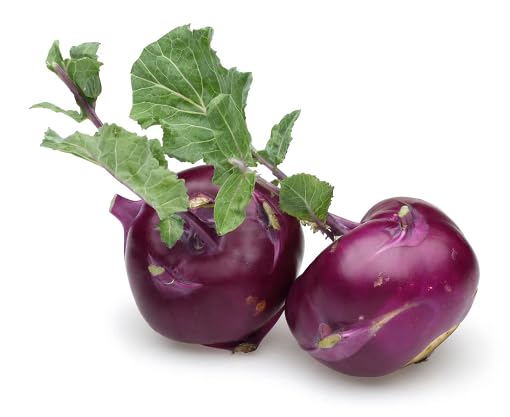 Purple Kohlrabi vegetable seeds vegetable seeds for Home Gardening, Heirloom, Non-GMO, High for kitchen garden planting
