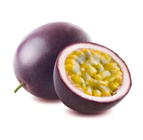 Purple Passion fruit seeds for organic garden planting