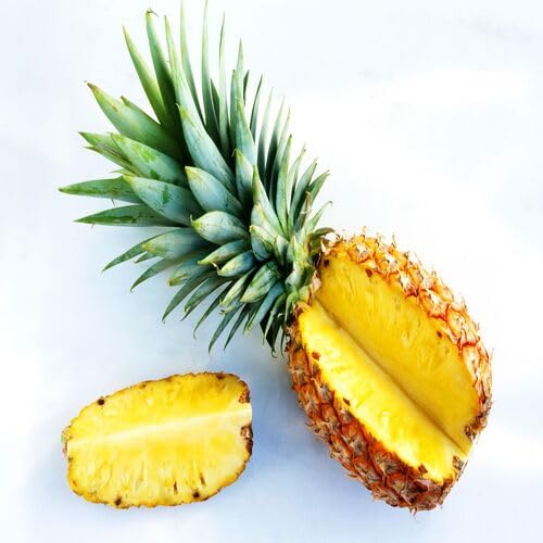 Yellow Pineapple Fruit Seeds Rare Tropical Orchard Variety for Natural Tropical Planting Premium