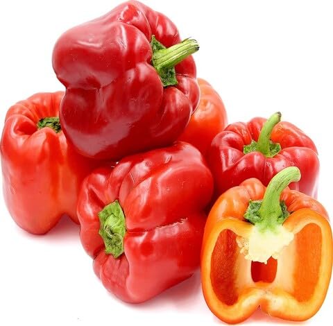 Red Pepper vegetable seeds vegetable seeds for Home Gardening, Organic Raised Bed Gardening for kitchen garden planting