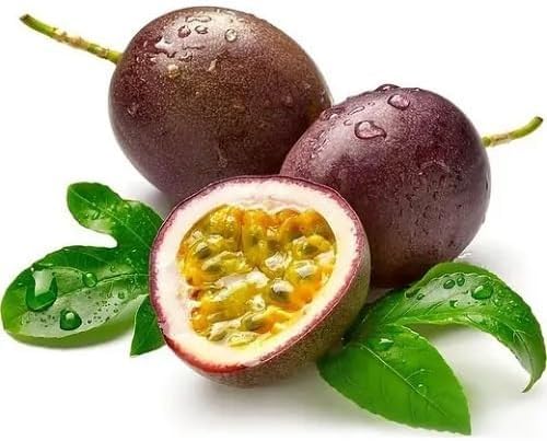 Maroon Passiflora Edulis fruit seeds for organic garden planting