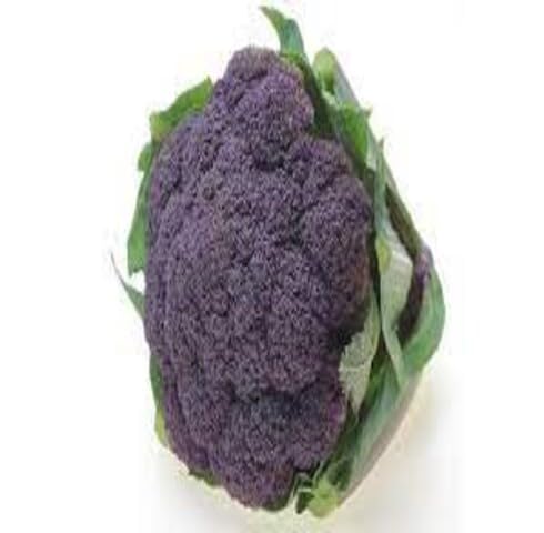 Purple Broccolini vegetable seeds - Heirloom, Organic, Non Gmo Garden Seeds for kitchen garden planting