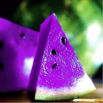 Purple Watermelon Fruit Unique Sweet And Refreshing Your Fruit Seeds