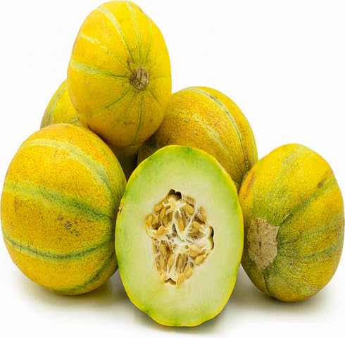 Yellow Green Haogen Melon vegetable seeds vegetable seeds for Home Gardening, Natural Home Farming for kitchen garden planting