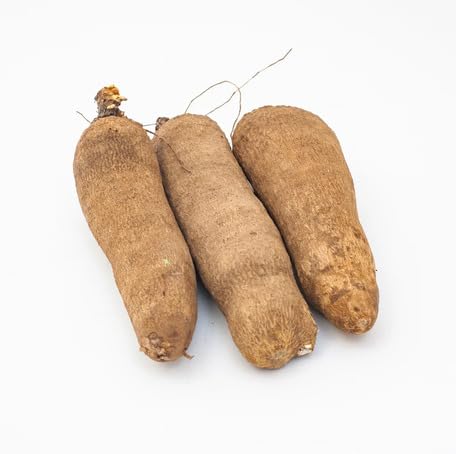 Brown Yam vegetable seeds for Home Gardening, Easy Grow Culinary Garden Selection Premium for kitchen garden planting