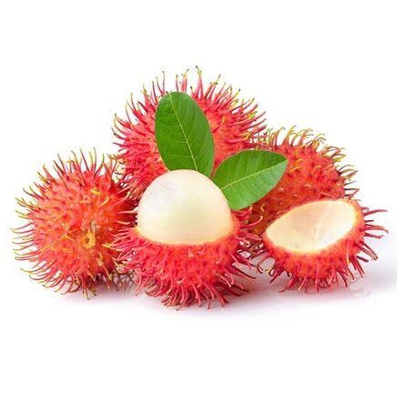 Red Rambutan fruit seeds for organic garden planting