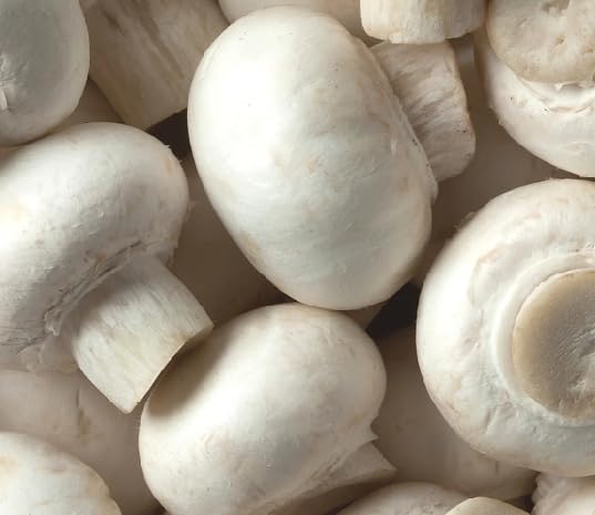 White Mushroom vegetable seeds vegetable seeds for Home Gardening, Premium Kitchen Garden Collection for kitchen garden planting