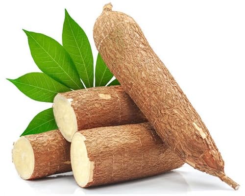 Brown Cassava vegetable seeds for Home Gardening, Nutritious Backyard Harvest Collection for kitchen garden planting