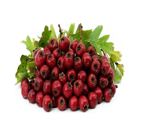 red hawthorn fruit Fruit Seeds organic garden seeds