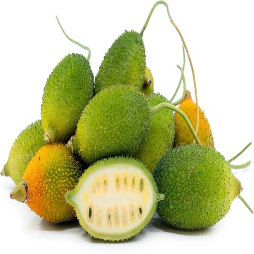 Spiny Guard Seeds,Green vegetable seeds for Home Gardening, Natural Farm Fresh Gardening for kitchen garden planting
