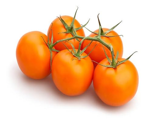 Orange Tomato Vegetables Seeds vegetable seeds - Heirloom, Organic, Non Gmo Garden Seeds for kitchen garden planting