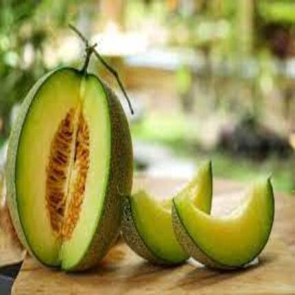 Green Musk Melon fruit seeds for organic garden planting