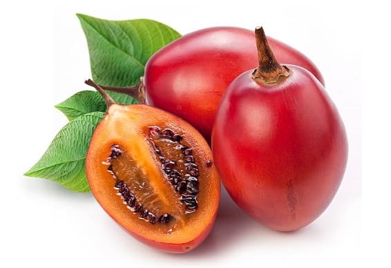 Tamarillo vegetable seeds for Home Gardening, Easy Grow Culinary Garden Selection Premium for kitchen garden planting