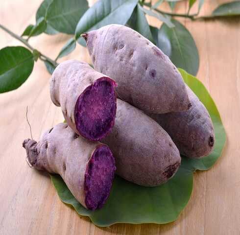 Purple Yacon vegetable seeds - Heirloom, Organic, Non Gmo Garden Seeds for kitchen garden planting