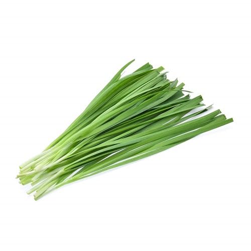 Green Chives vegetable seeds - Heirloom, Organic, Non Gmo Garden Seeds for kitchen garden planting