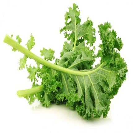 Green Kale vegetable seeds for Home Gardening, Nutritious Backyard Harvest Collection for kitchen garden planting