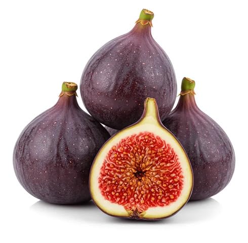 Red Fig fruit seeds for organic garden planting