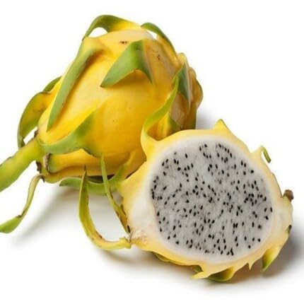 Yellow Pitaya Fruit fruit seeds for organic garden planting