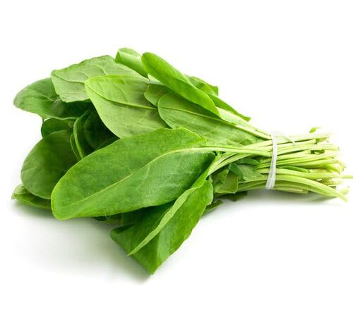 Sorrel vegetable seeds - Heirloom, Organic, Non Gmo Garden Seeds for kitchen garden planting