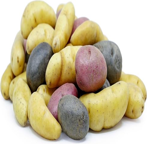 Mix Potato vegetable seeds - Heirloom, Organic, Non Gmo Garden Seeds for kitchen garden planting