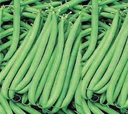 Polebean vegetable seeds - Heirloom, Organic, Non Gmo Garden Seeds for kitchen garden planting