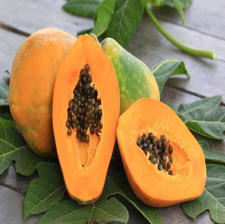 Orange Papaya fruit seeds for organic garden planting