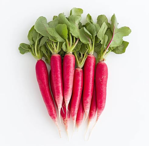 Red Radish vegetable seeds vegetable seeds for Home Gardening, Heirloom, Non-GMO, High Germination for kitchen garden planting