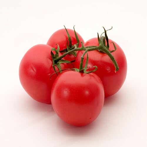 red tomato vegetable seeds