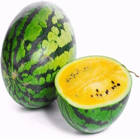 Yellow Watermelon fruit seeds for organic garden planting