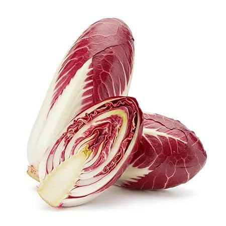 Red Endive vegetable seeds - Heirloom, Organic, Non Gmo Garden Seeds for kitchen garden planting