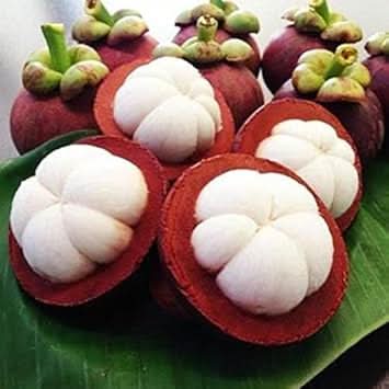 Mangostan Fruit Cultivating Rare And Exquisite Mangosteen Fruits Fruit Seeds