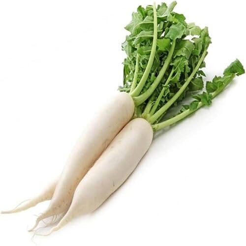 Raddish Seeds,White vegetable seeds for Home Gardening, Natural Farm Fresh Gardening for kitchen garden planting