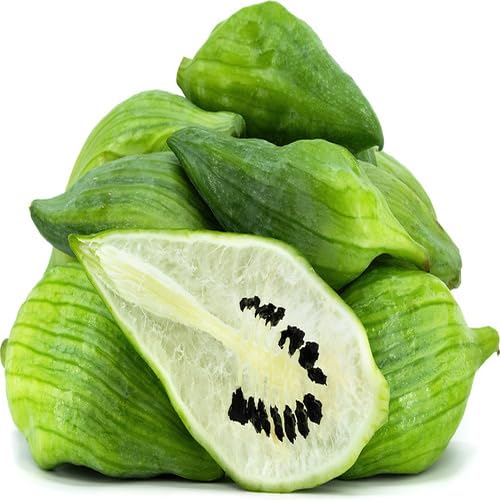 Green Caigua vegetable seeds for Home Gardening, Heirloom, Non-GMO, High Germination Organic for kitchen garden planting