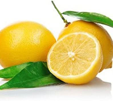 yellow lemon fruit for planting grow luscious lemons in your beautiful home garden Fruit seeds
