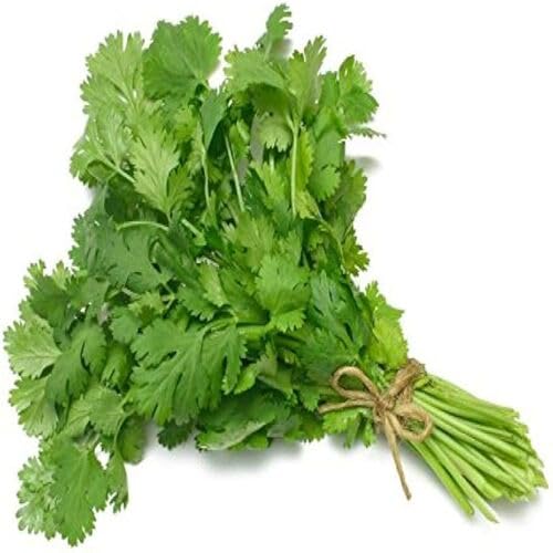 Coriander Vegetables vegetable seeds for Home Gardening, Healthy Seasonal Vegetable for kitchen garden planting