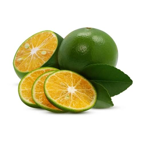 Green Orange fruit seeds for organic garden planting