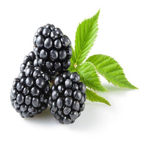 Black BlackBerry Fruit Seeds organic garden seeds