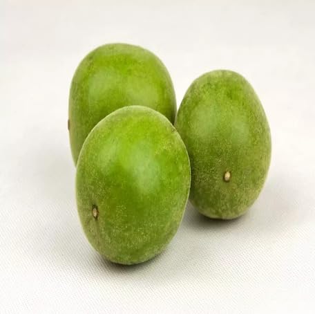 Green Monkfruit fruit seeds for organic garden planting