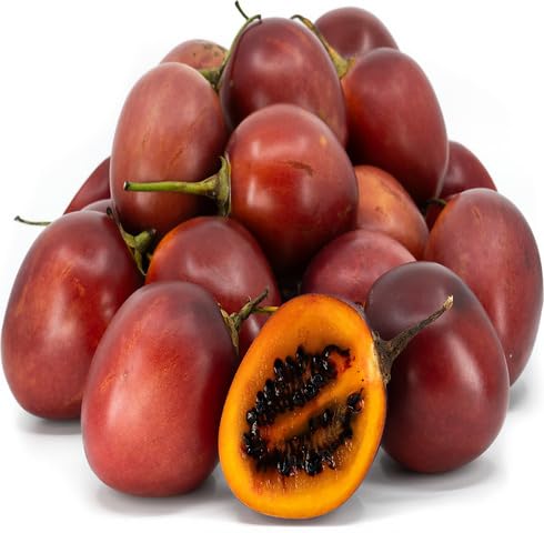 red tamarillo fruit Fruit Seeds organic garden seeds