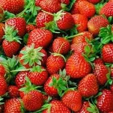 Large Strawberry For Growing Berries In Your Home For Landscape Gardening Fruit Seeds